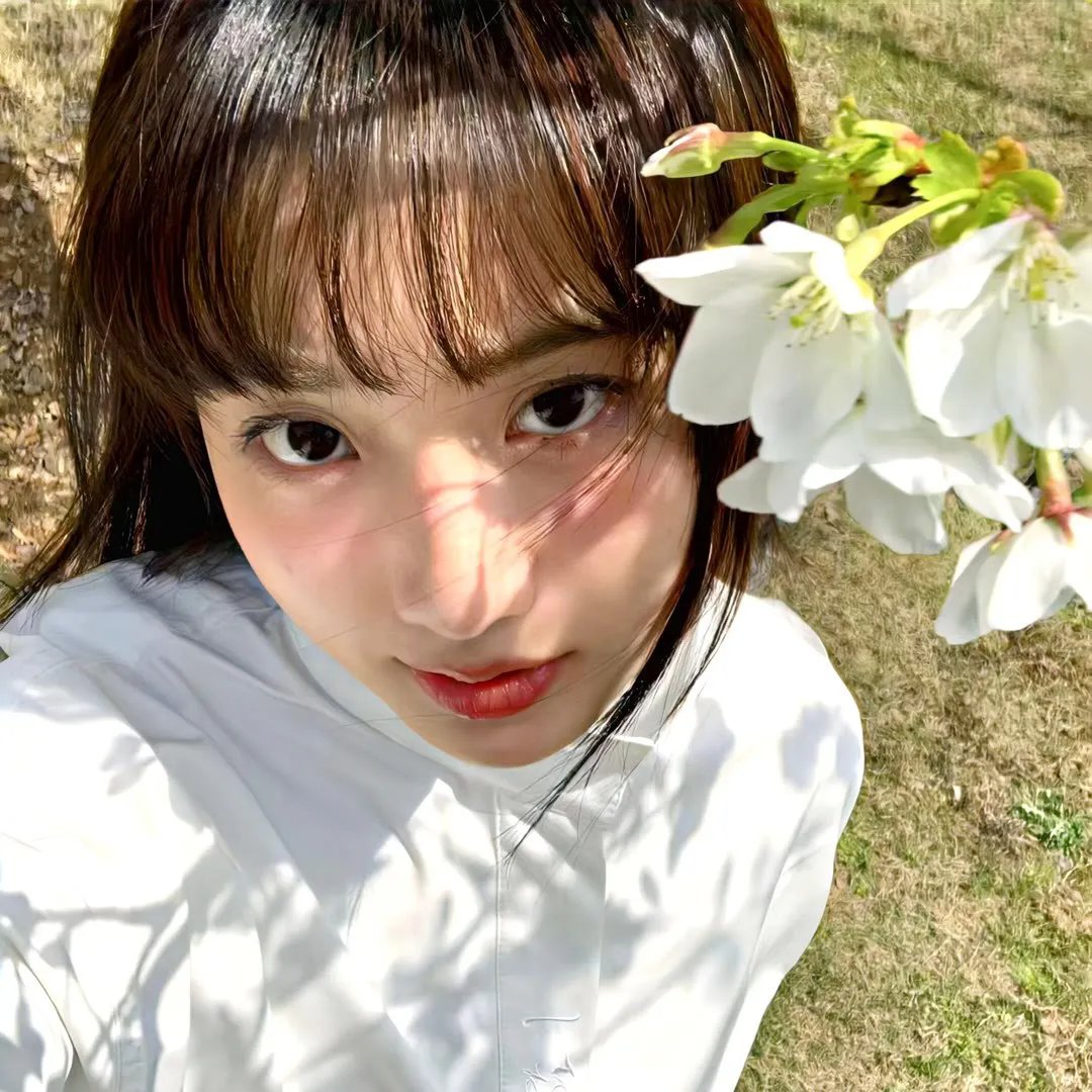 律政英雄特别版